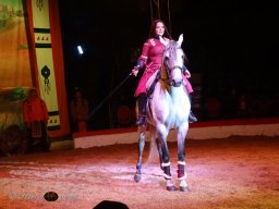 Circus YAKARI Show am 04.10.2024